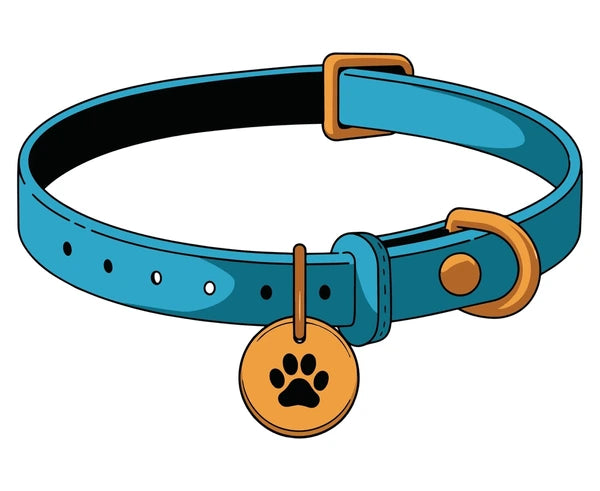 Dog Collar